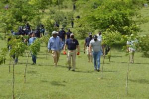 La SVSP. realizó una Jornada de Reforestación en Laguna de Yuna, del Municipio de Chirino, Provincia Monte Plata